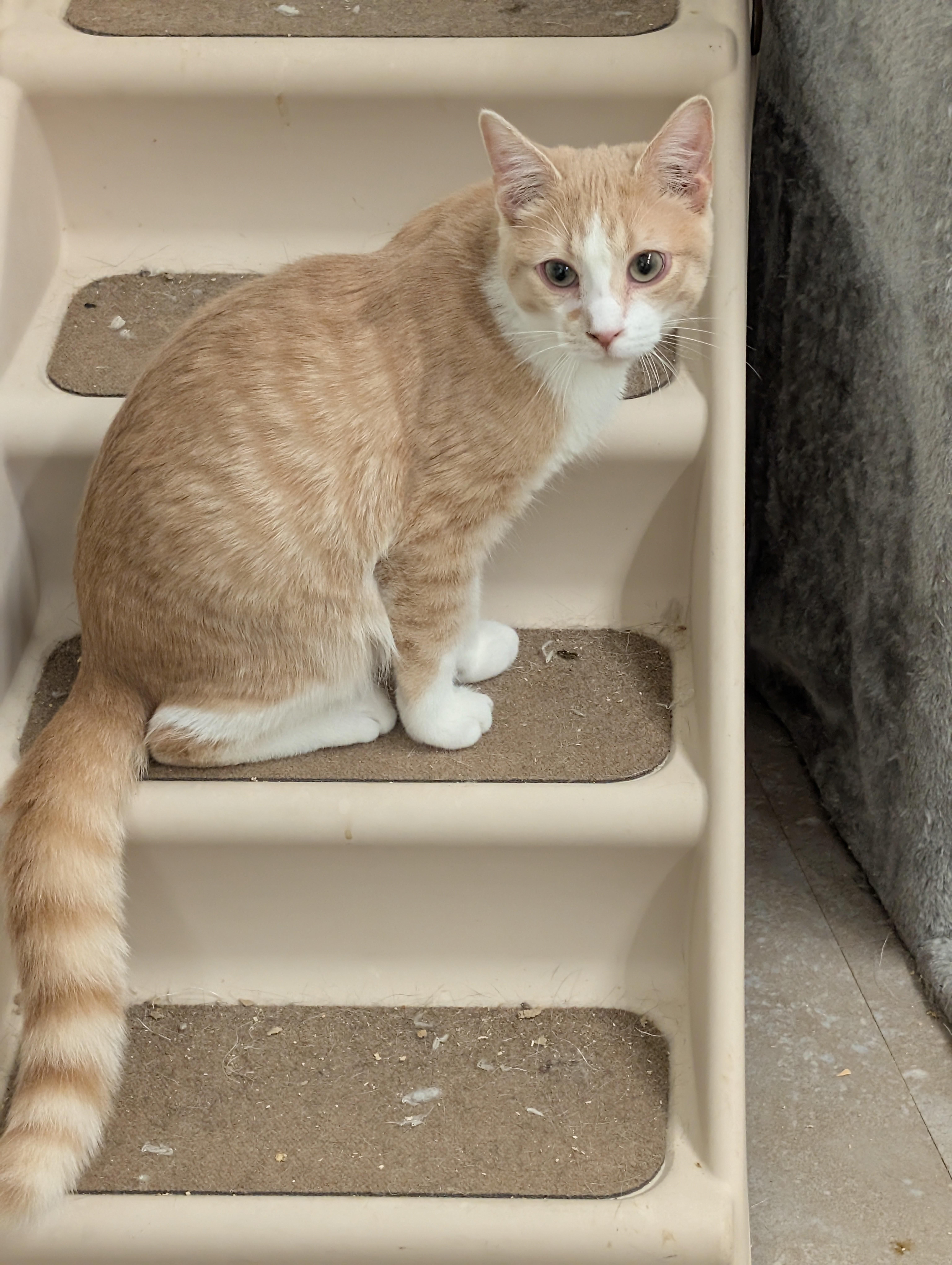 Chattanooga thumbnail 5