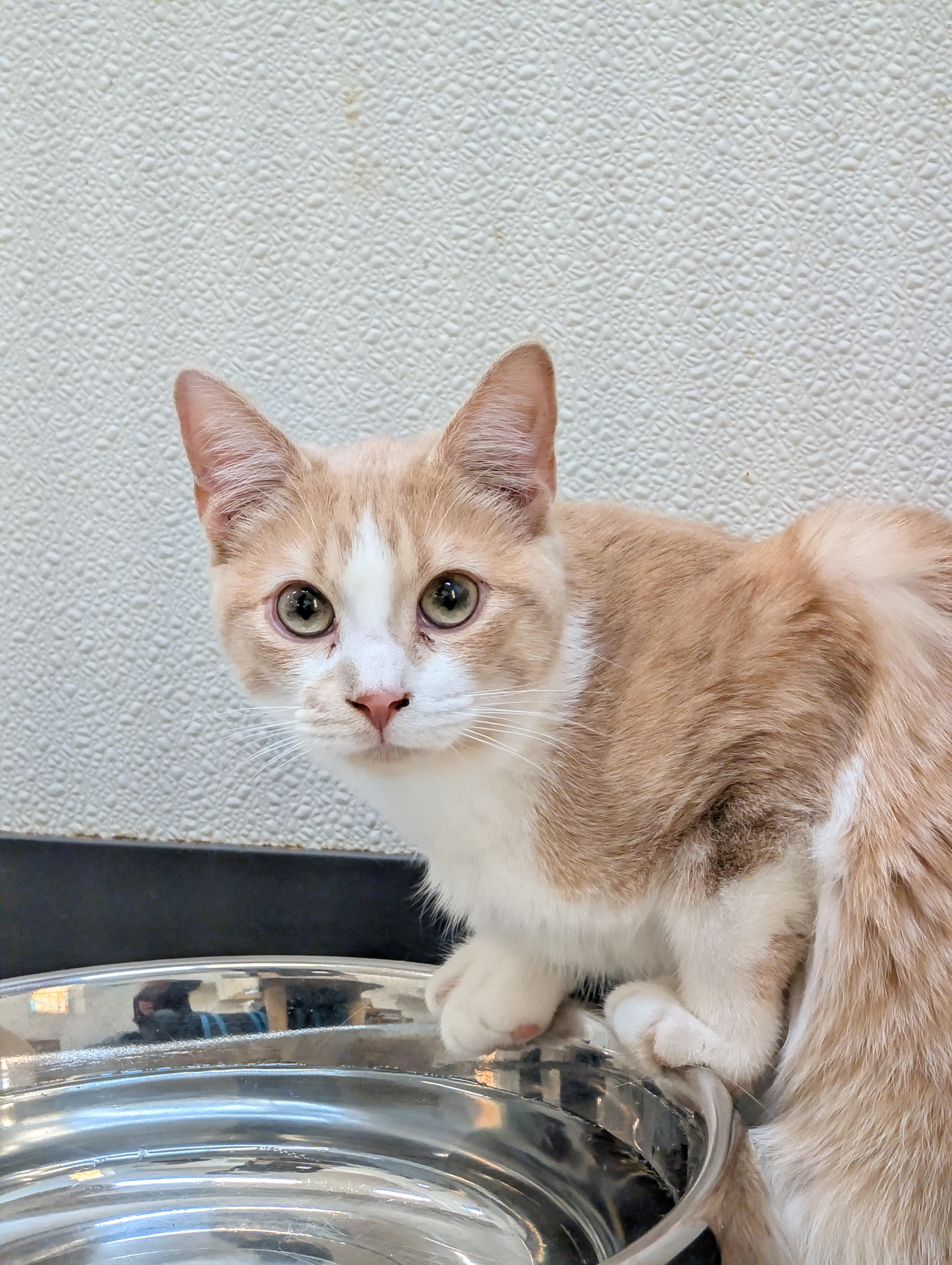 Chattanooga thumbnail 6