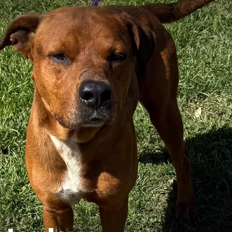 Alamo thumbnail 2