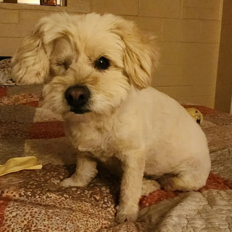 Tinkerbell thumbnail 2