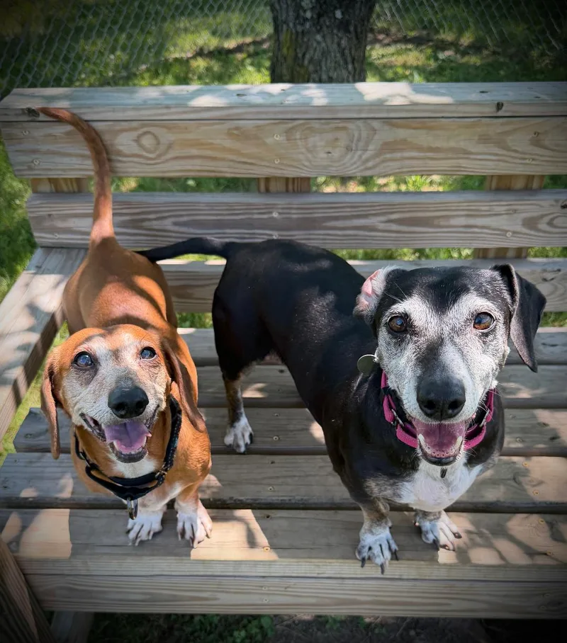 Deb & Fritz thumbnail 2