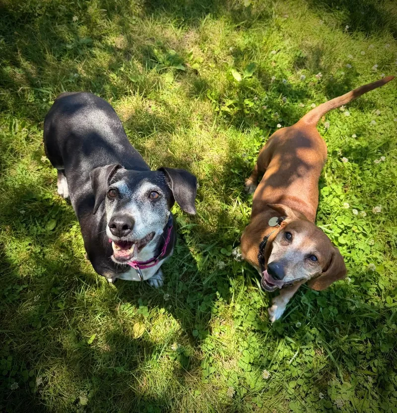 Deb & Fritz thumbnail 3