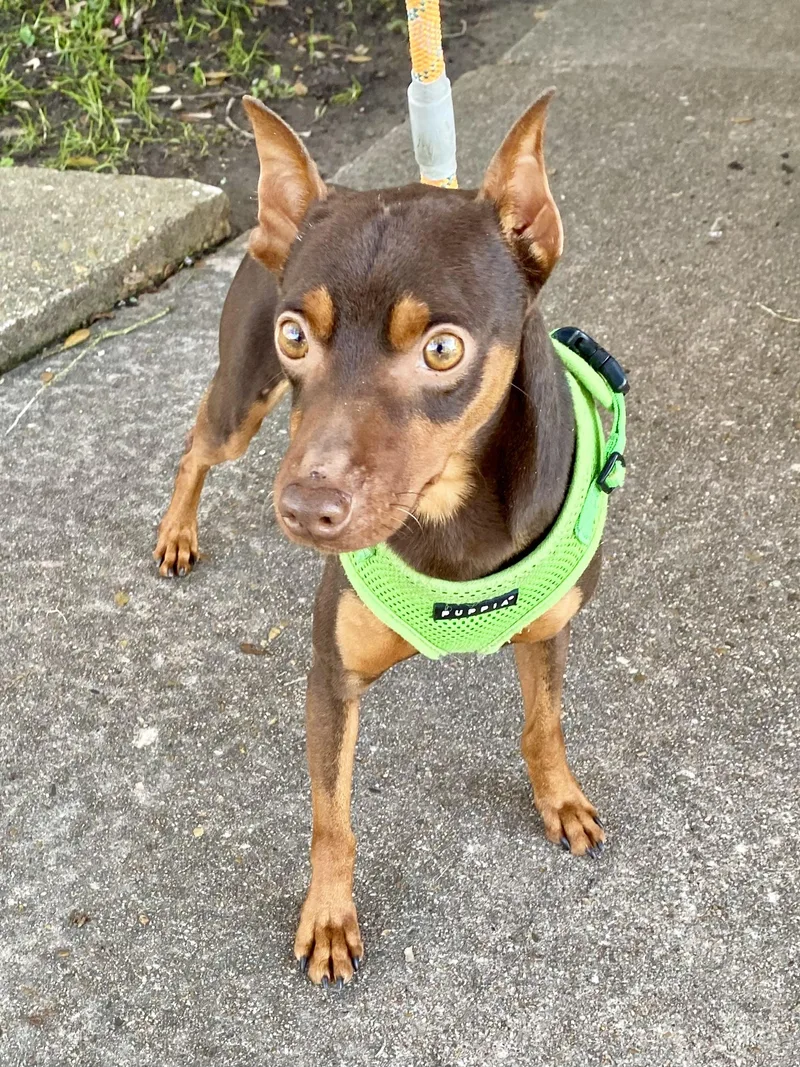 Luke & Leia thumbnail 5