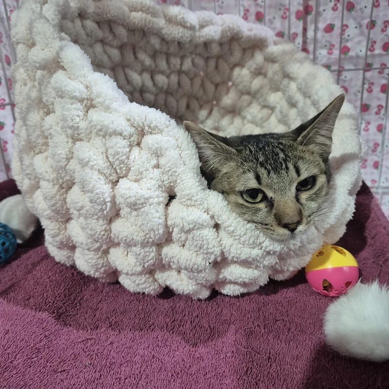 Carmelita thumbnail 2