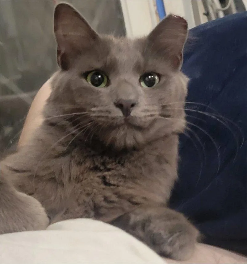 Sasha thumbnail 4