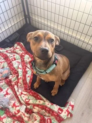 Patsy Cline thumbnail 2