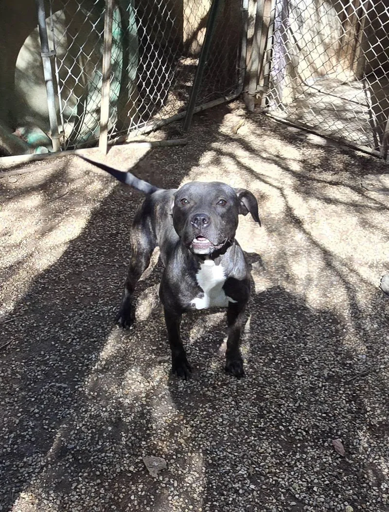 Charlotte thumbnail 3