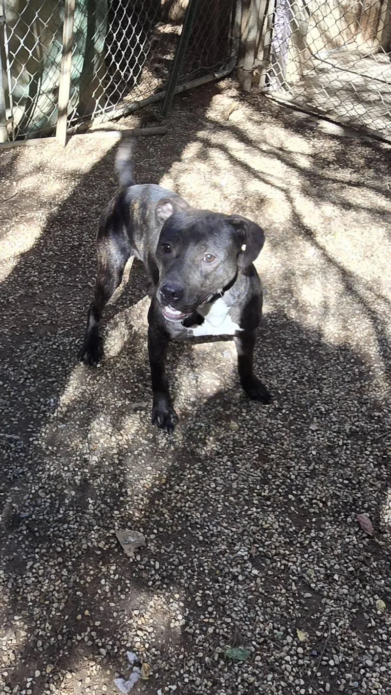 Charlotte thumbnail 4