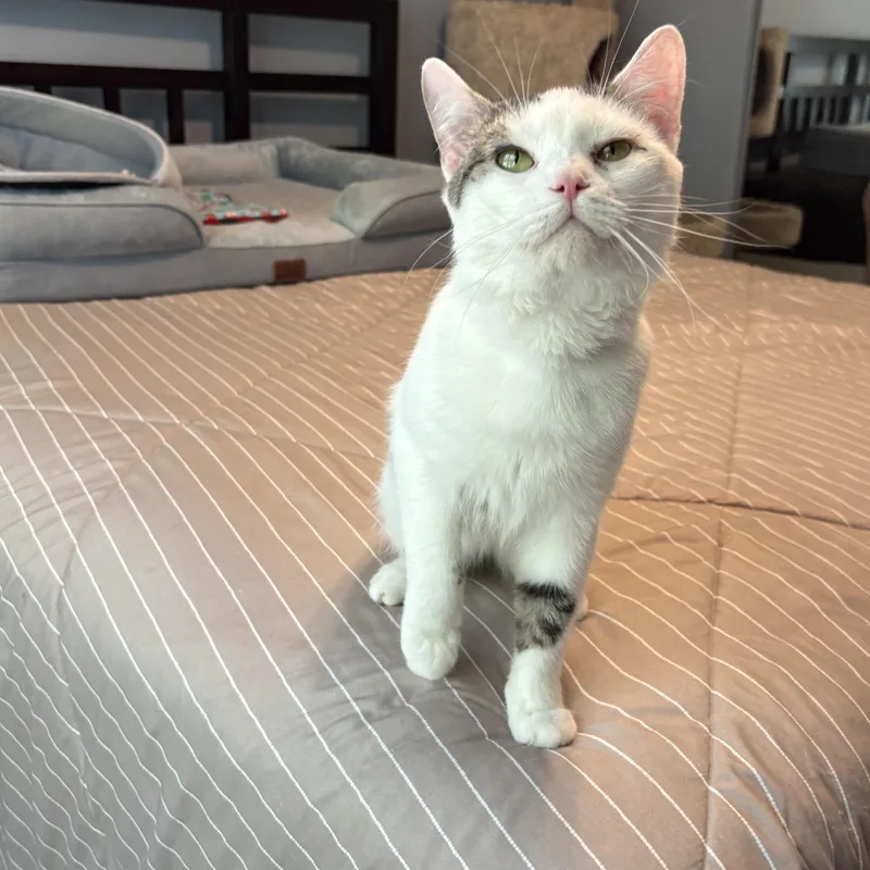 Jerry thumbnail 3