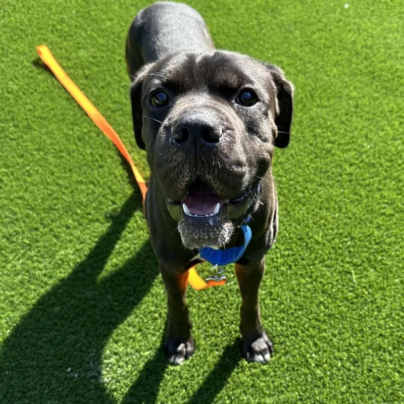 Patrick thumbnail 5