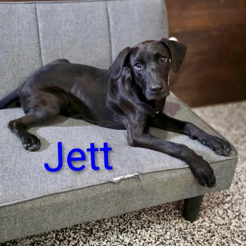 CT Jett thumbnail 6