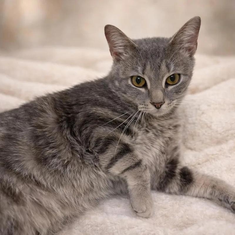 Fluff: Visit At Petsmart thumbnail 3