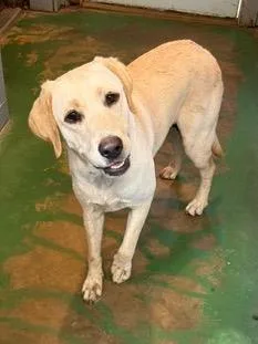 Xena thumbnail 2
