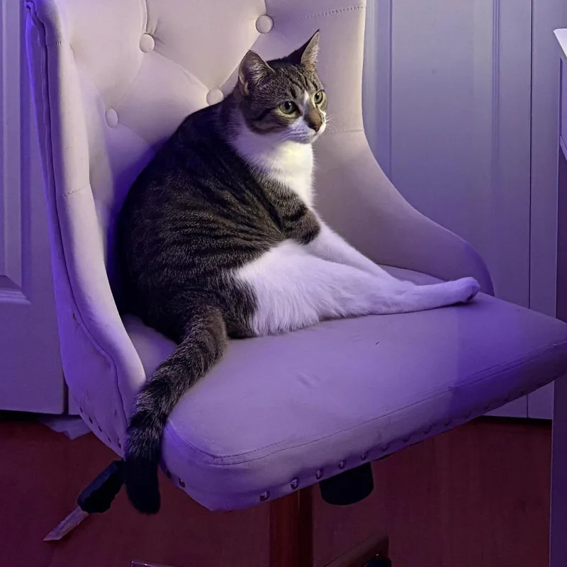 Simba