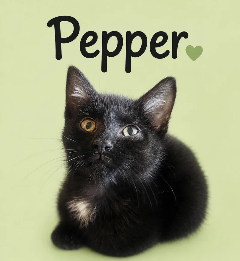 Pepper thumbnail 3