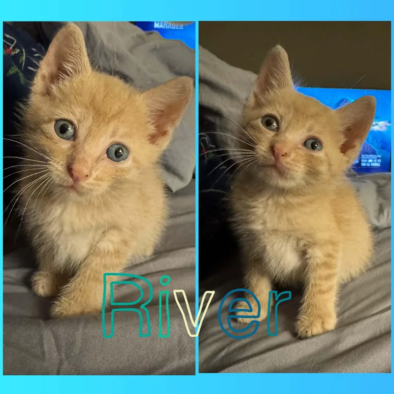 River