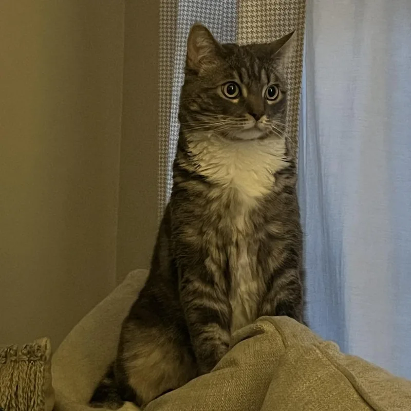 Leo