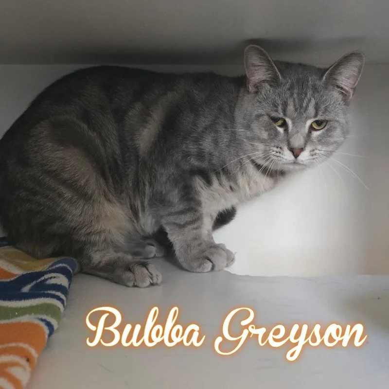 Bubba Greyson