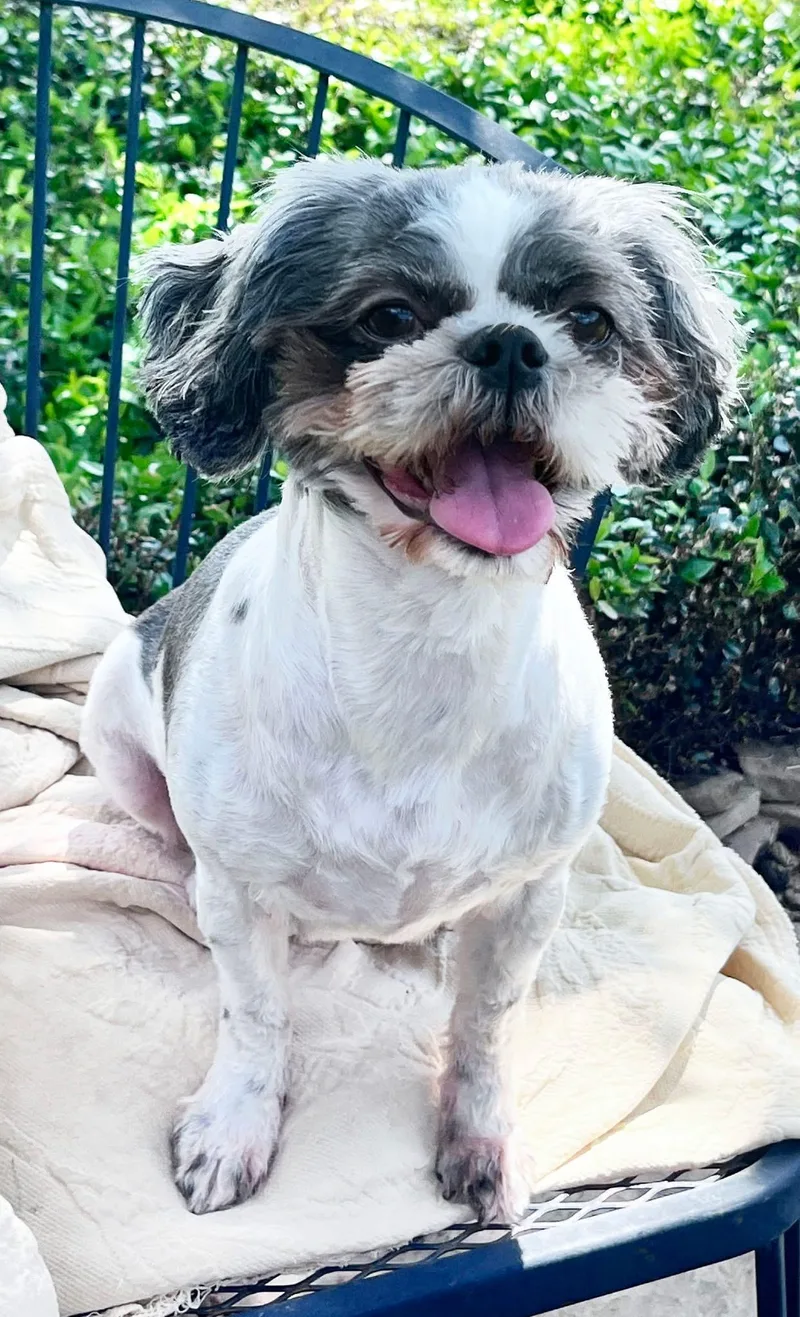 Lucy Turner thumbnail 2