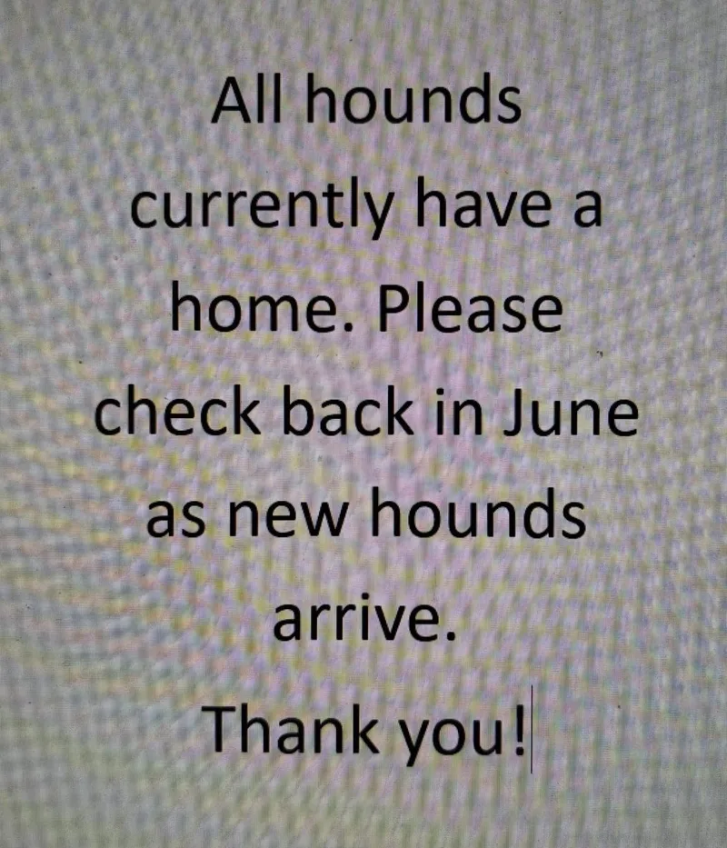 No Hounds