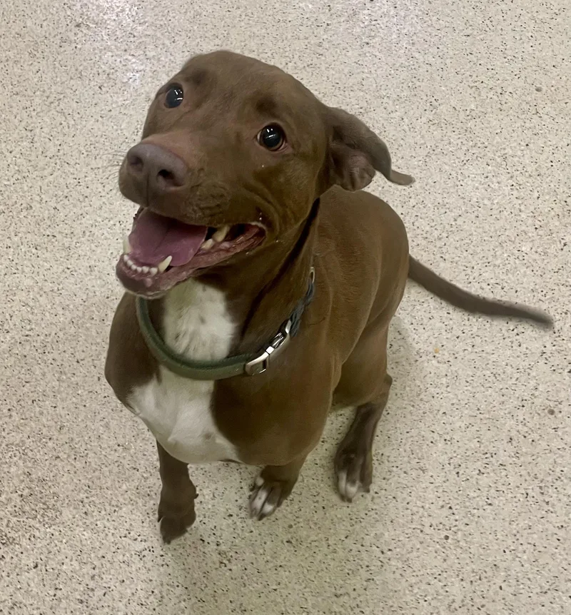 Maggie May thumbnail 2