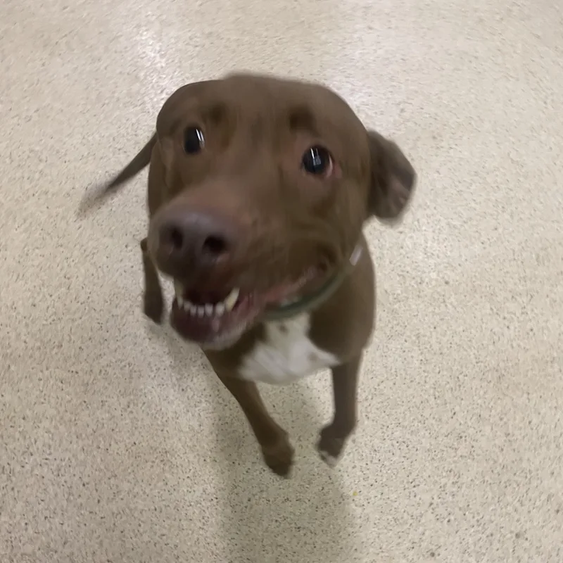 Maggie May thumbnail 3