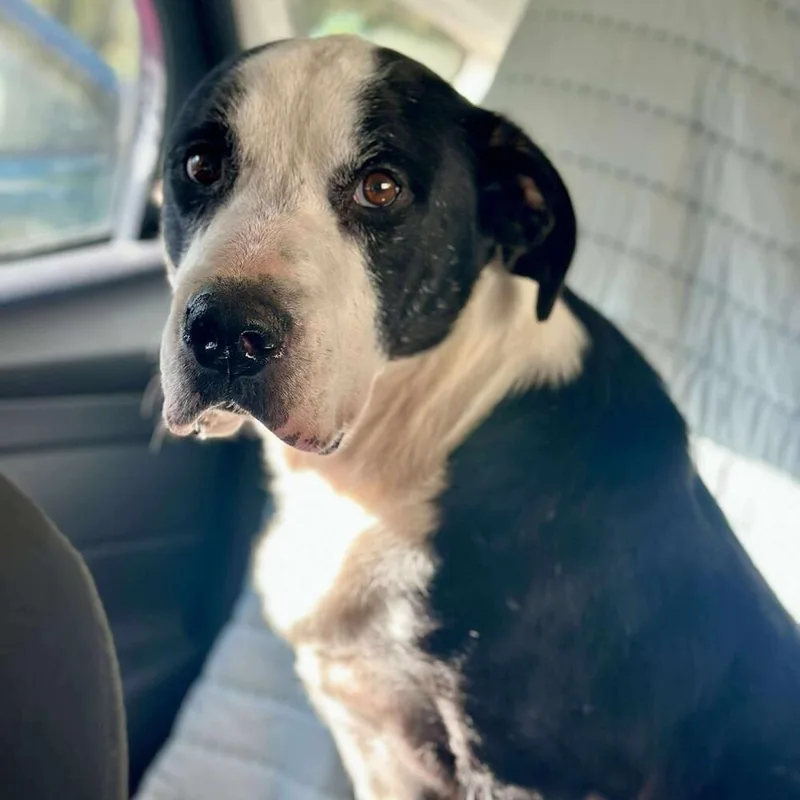 Toby Jay thumbnail 2