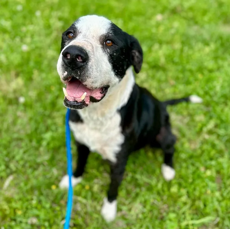 Toby Jay thumbnail 5