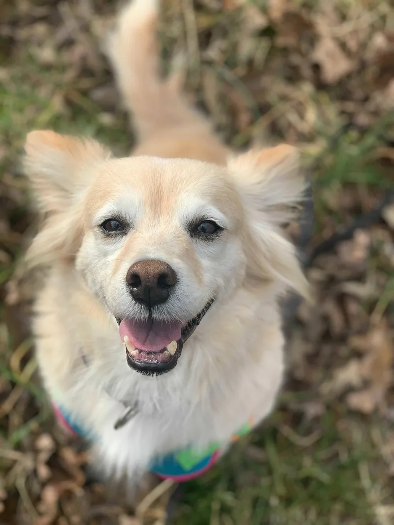 Sadie May  Bonded thumbnail 2