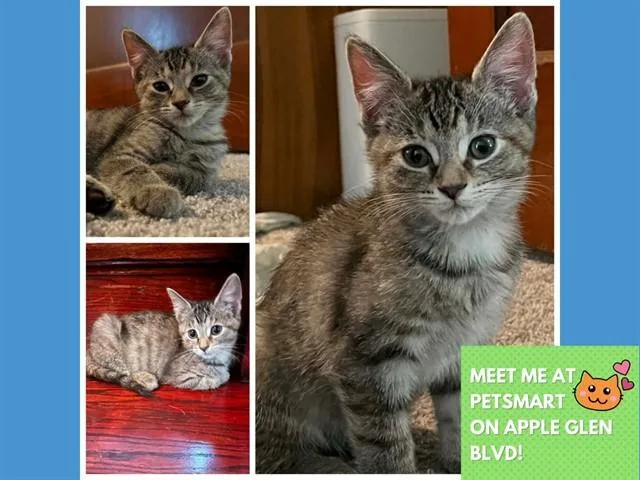 Pepper