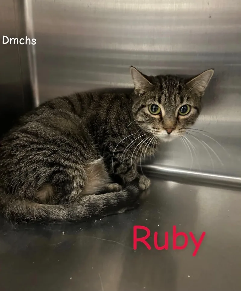 Ruby thumbnail 3