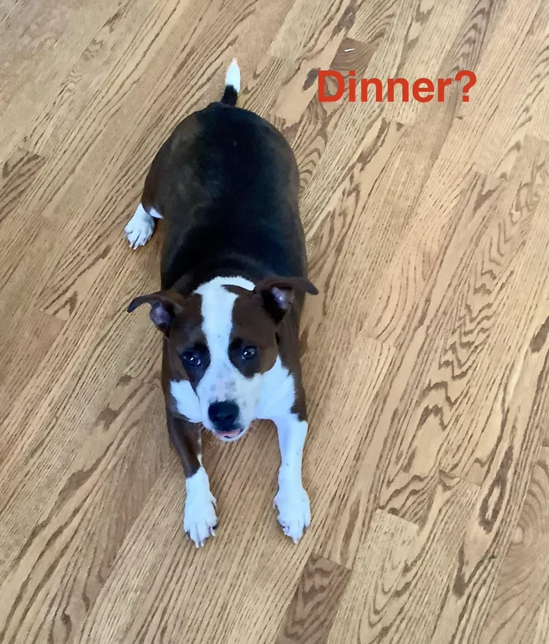 Tater thumbnail 2