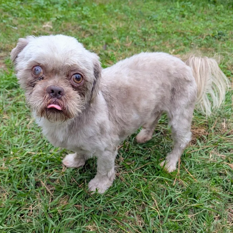 Benny Jett thumbnail 2