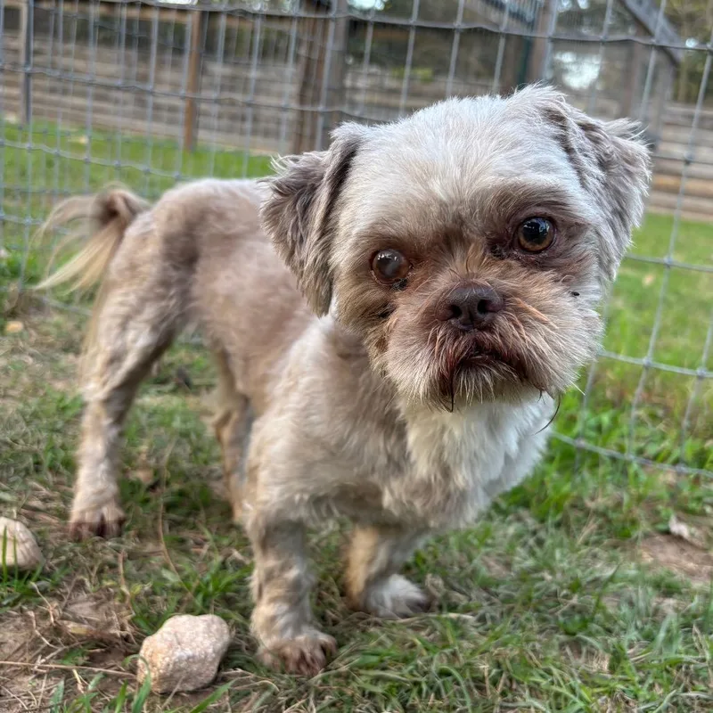 Benny Jett thumbnail 3