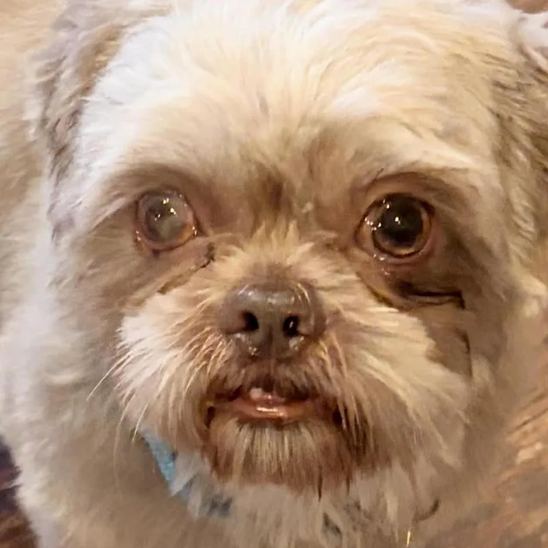 Benny Jett thumbnail 4