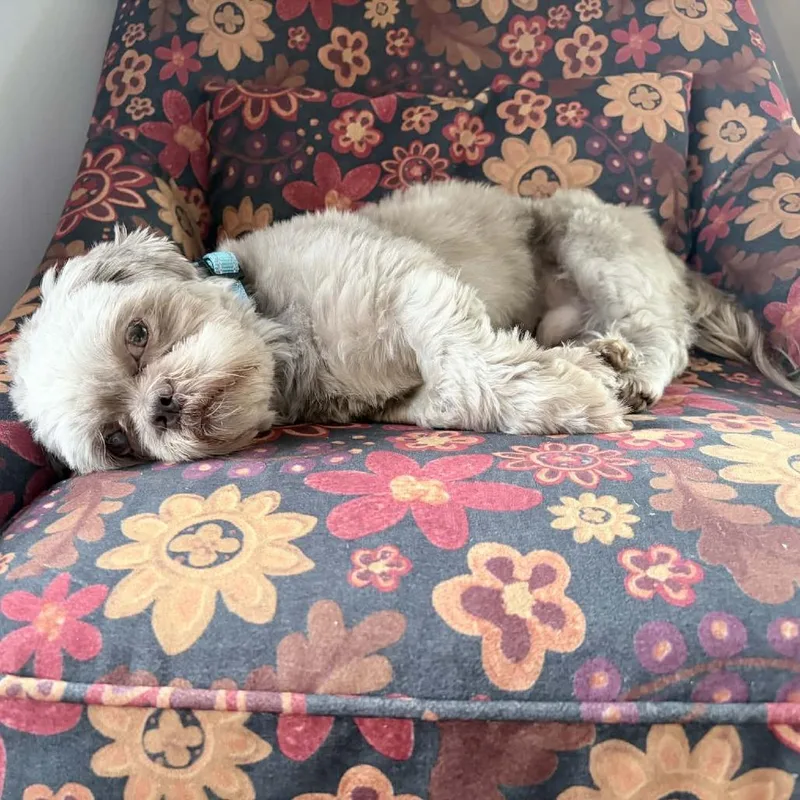 Benny Jett thumbnail 5