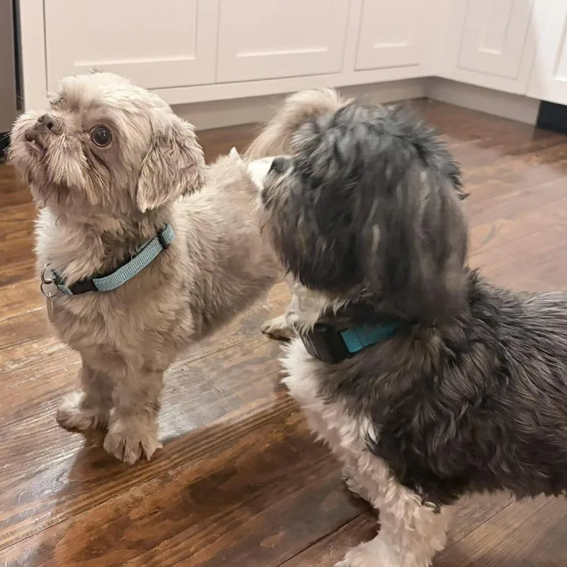 Benny Jett thumbnail 6