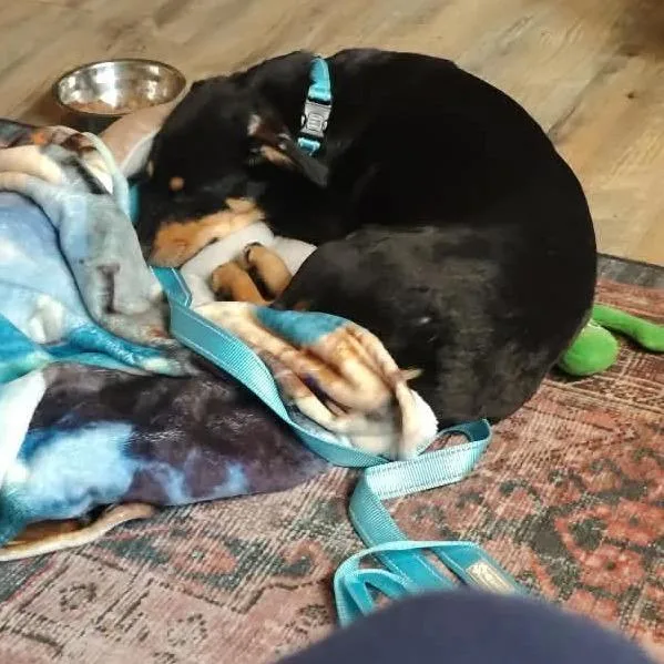 San Juan thumbnail 2