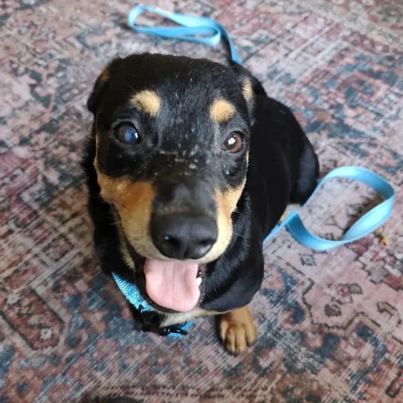 San Juan thumbnail 3