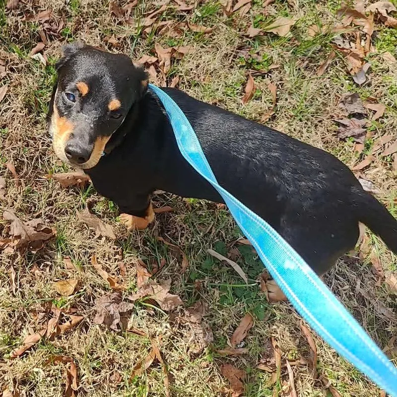 San Juan thumbnail 4