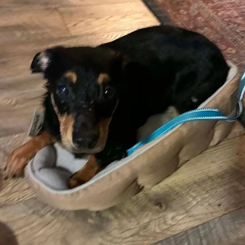 San Juan thumbnail 5