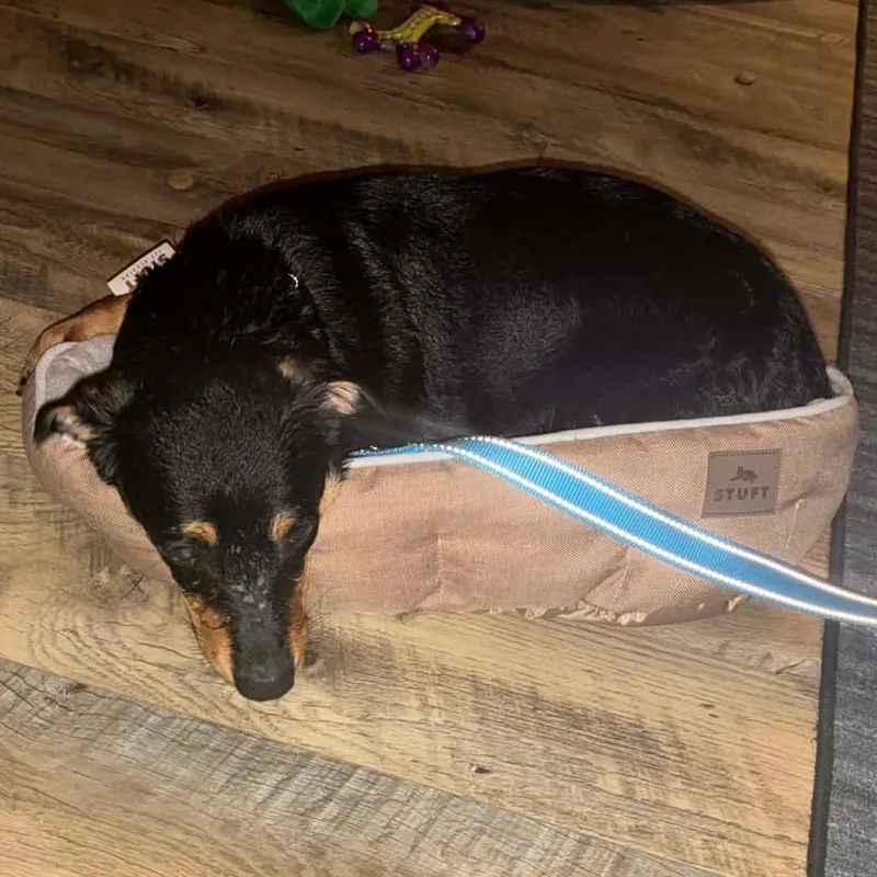 San Juan thumbnail 6