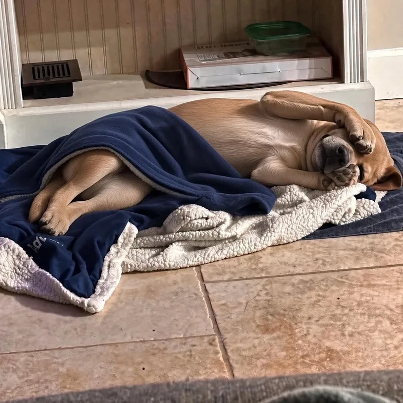 Coco thumbnail 3