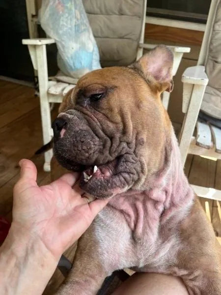 Tyson  WA thumbnail 5