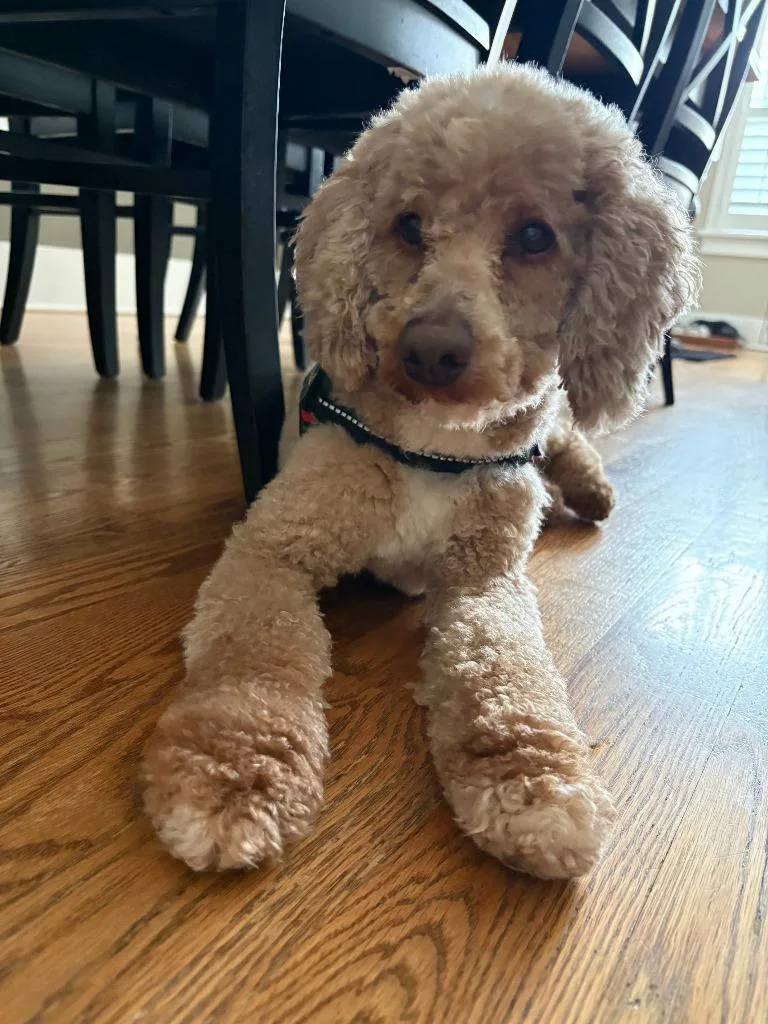 Marley