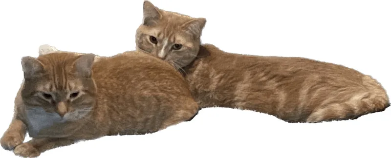 Cheeto thumbnail 2