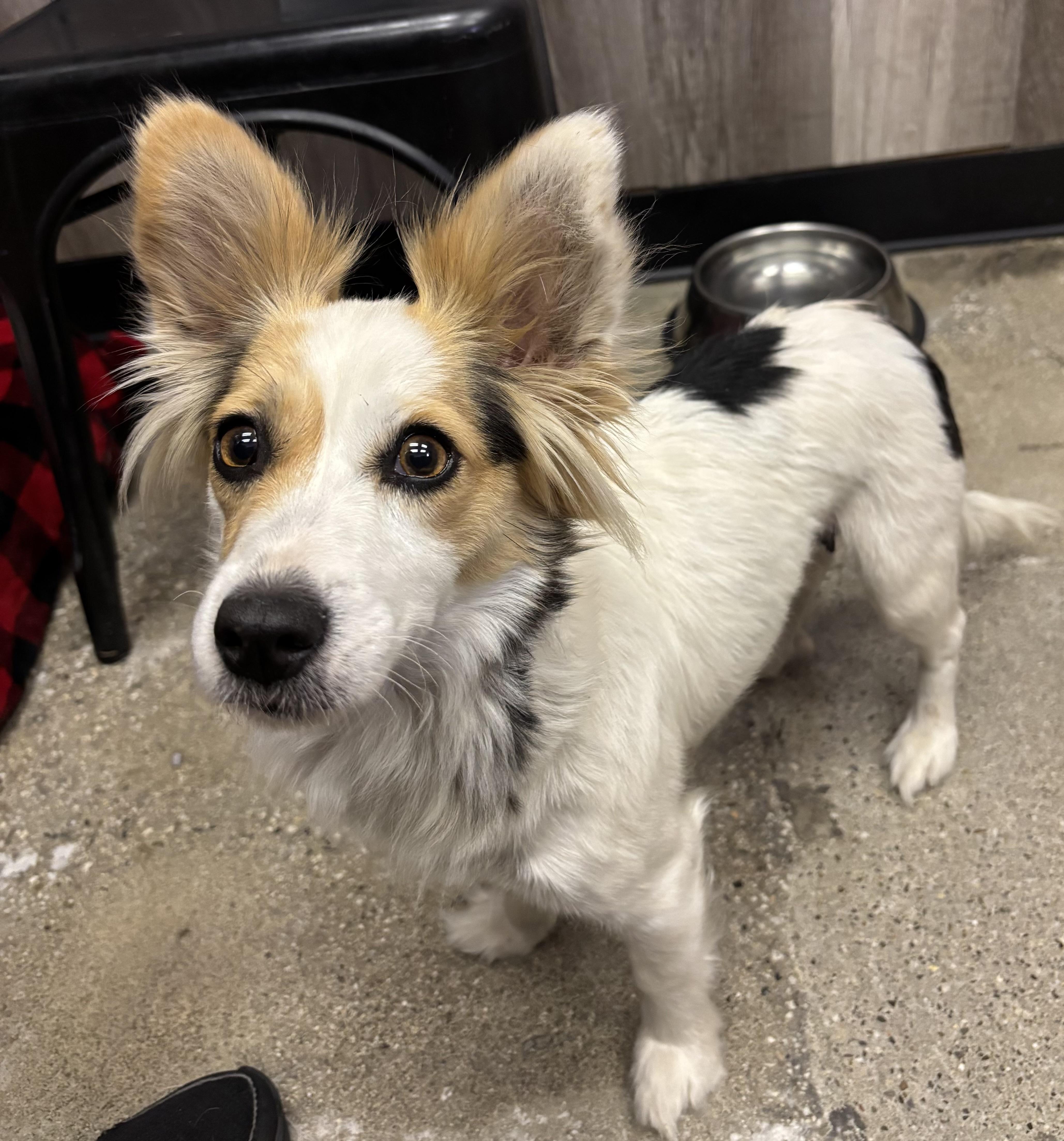 Sugar Rae thumbnail 3