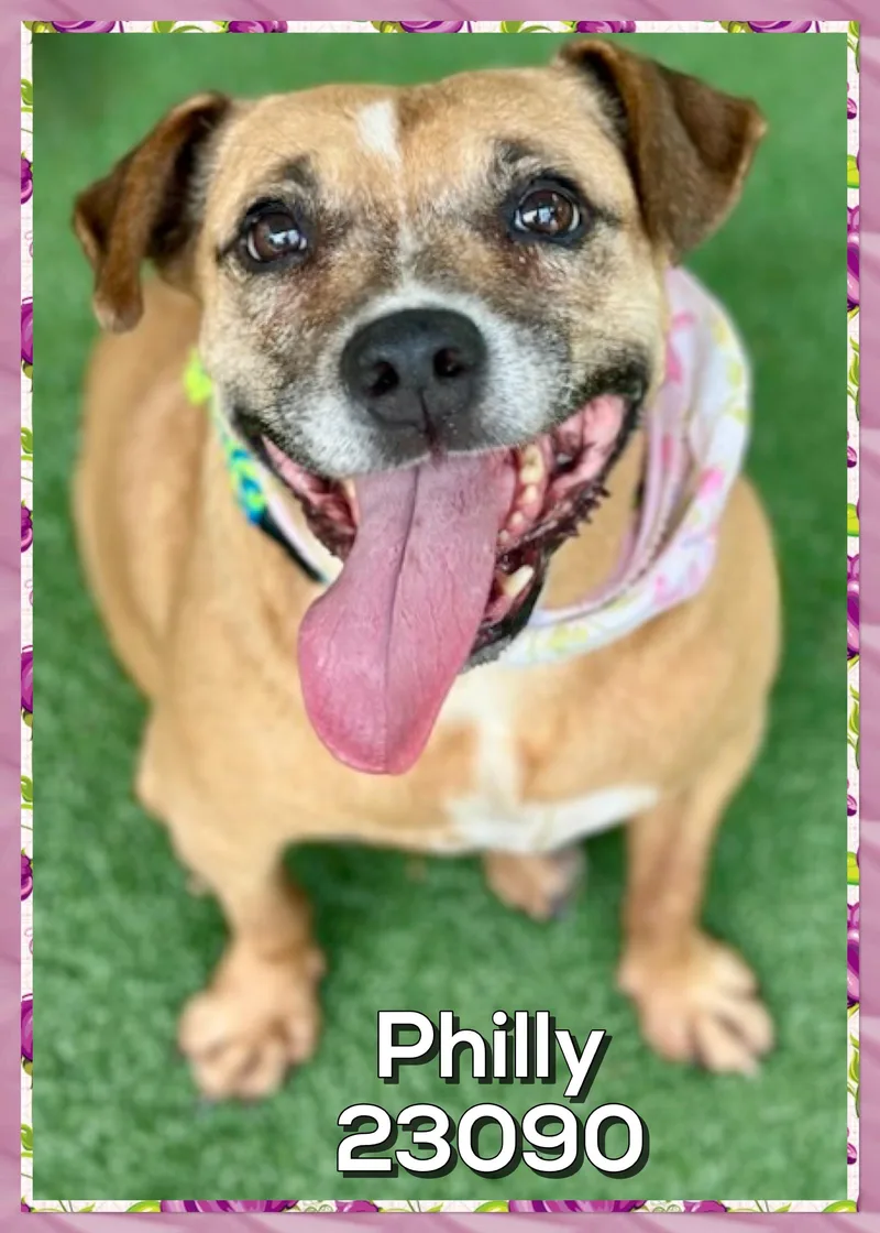 Philly thumbnail 2