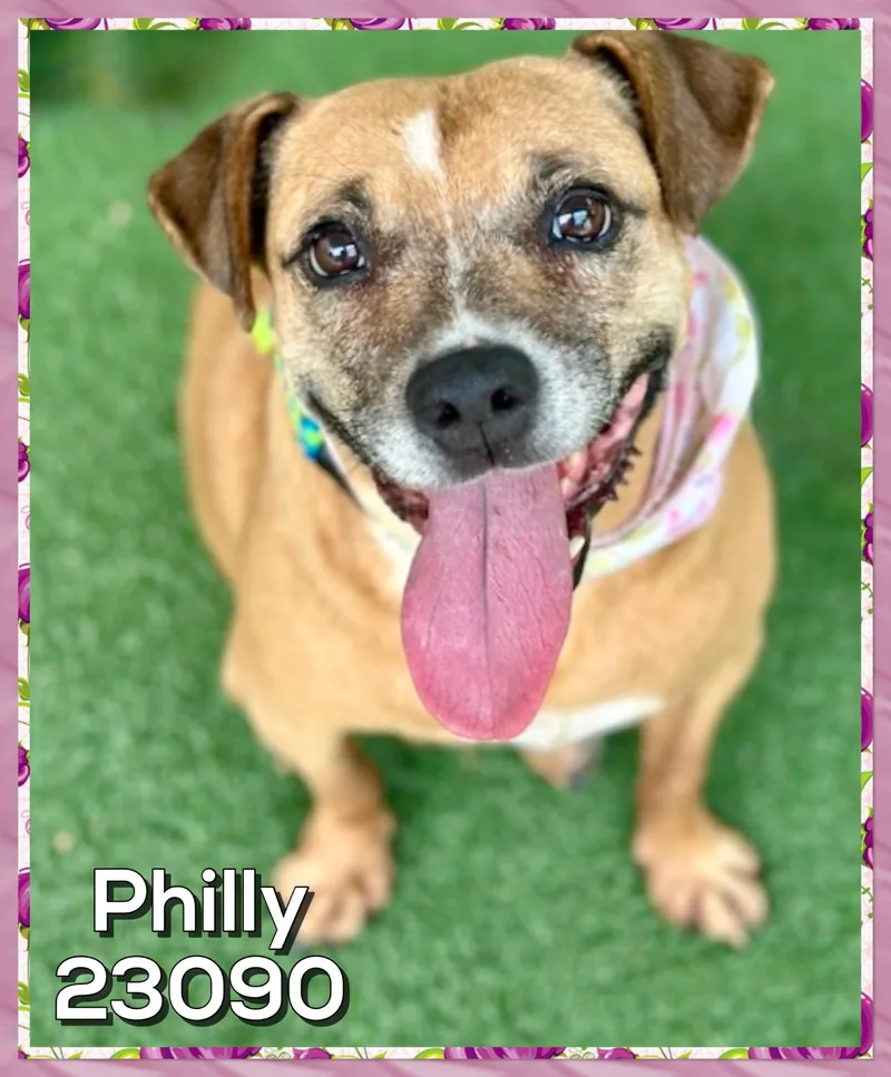 Philly thumbnail 3