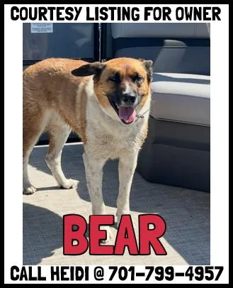Bear Courtesy Listing
